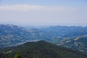 Poienile roșii